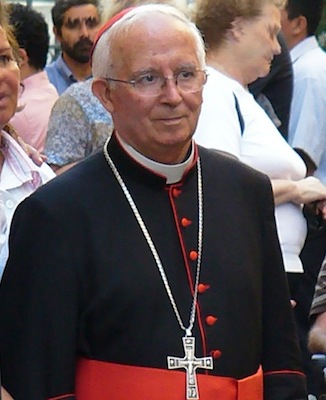 TOMA  DE POSESIÓN DEL CARDENAL CAÑIZARES